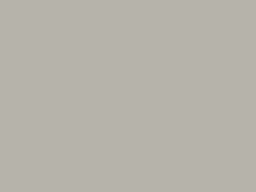 0756 Warm Grey Medium
