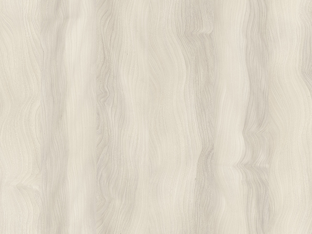 4060 Quebec Elm