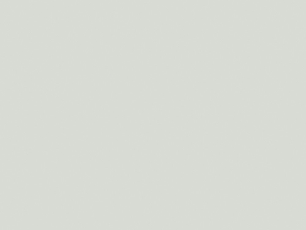 0191 BS Cool Grey