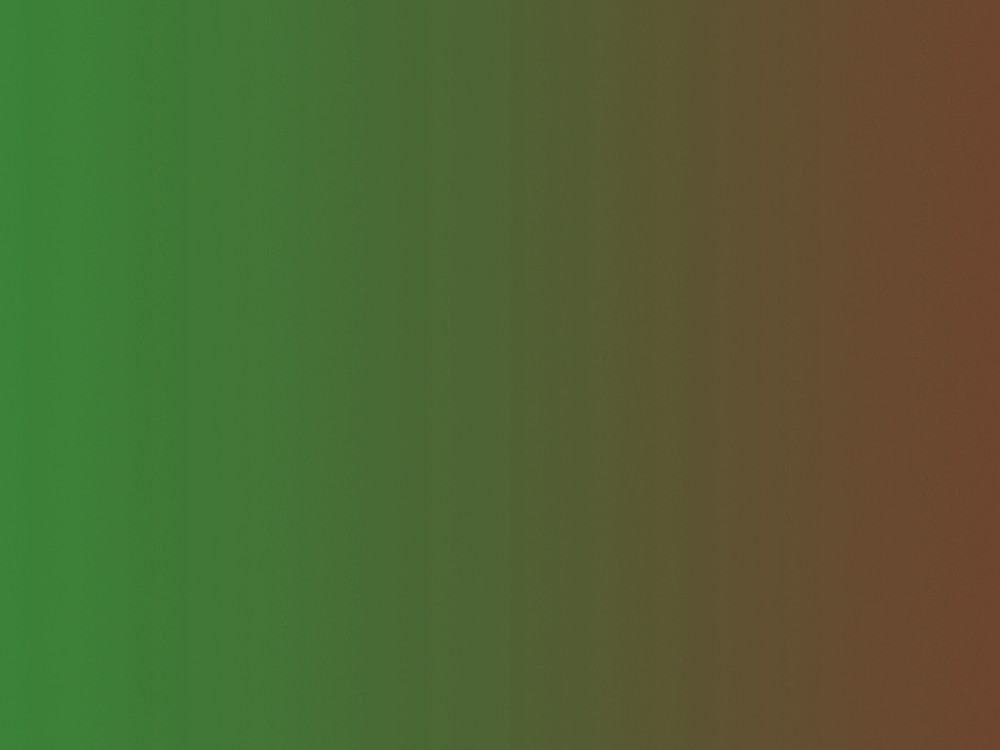 CHAMELEON GREEN-BROWN