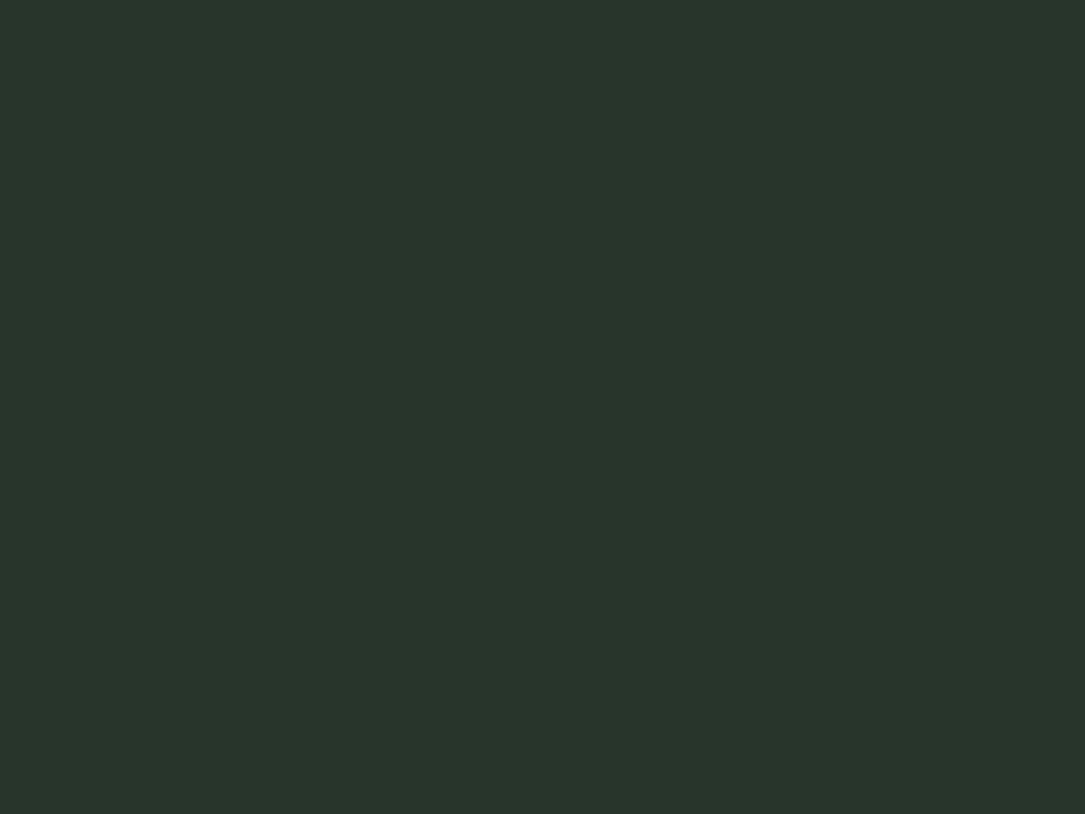 RAL6009