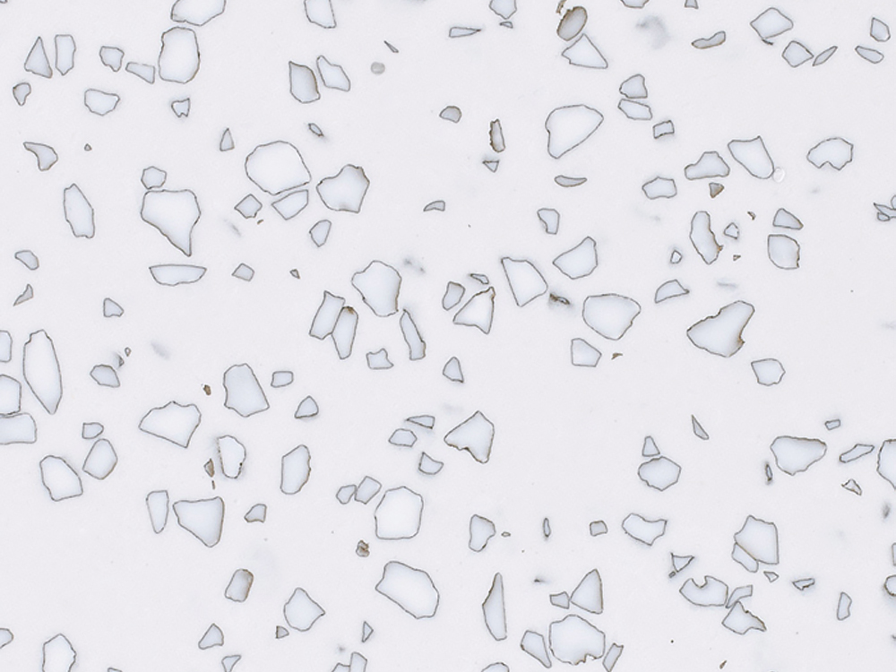 MOSAIC DALMATIAN