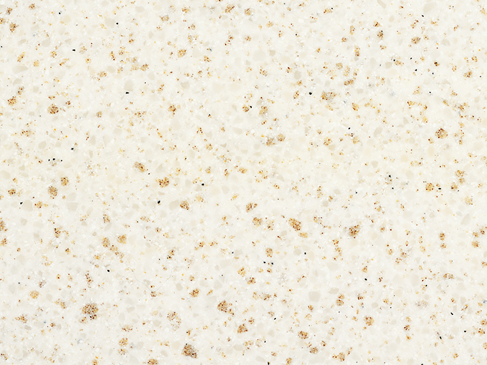 QUARRY OYSTER